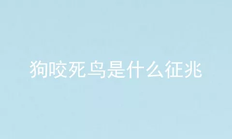 狗咬死鸟是什么征兆