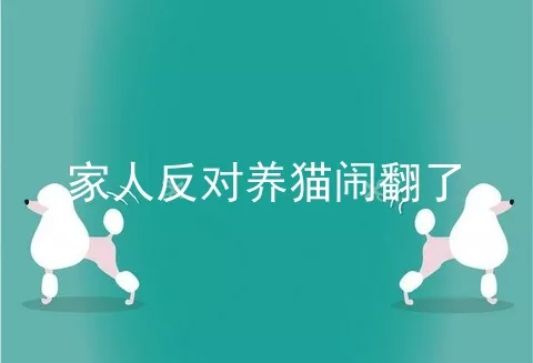 家人反对养猫闹翻了