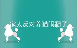 家人反对养猫闹翻了