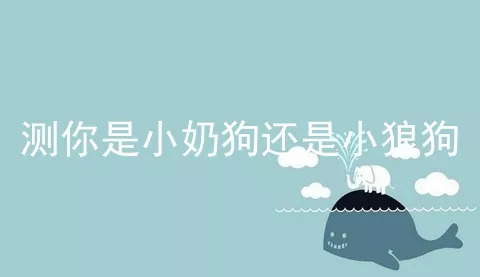 测你是小奶狗还是小狼狗