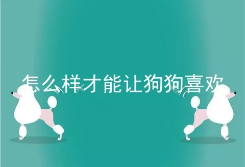 怎么样才能让狗狗喜欢