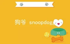 狗爷 snoopdogg