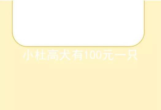 小杜高犬有100元一只