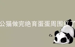 公猫做完绝育蛋蛋周围红了