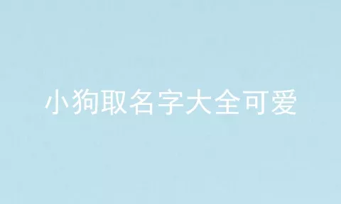 小狗取名字大全可爱