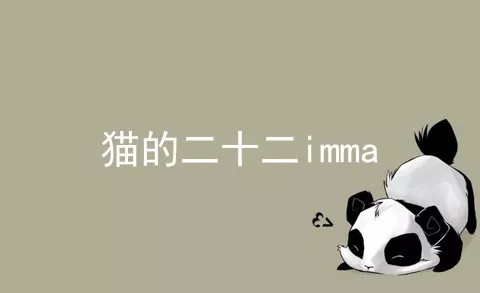 猫的二十二imma