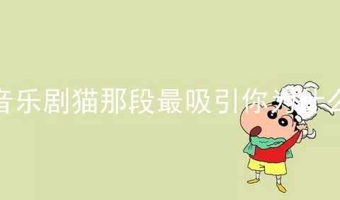 音乐剧猫那段最吸引你为什么