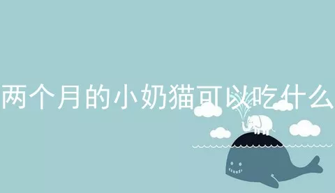 两个月的小奶猫可以吃什么