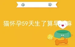 猫怀孕59天生了算早产嘛