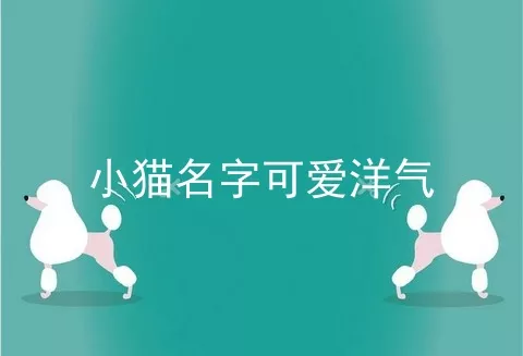 小猫名字可爱洋气