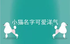 小猫名字可爱洋气