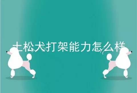 土松犬打架能力怎么样