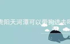 贵阳天河潭可以带狗进去吗