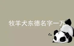 牧羊犬东德名字一万