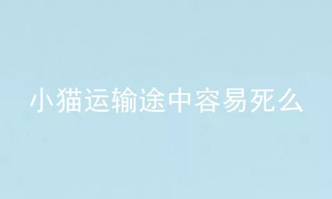 小猫运输途中容易死么