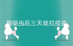 狗驱虫后三天就打疫苗