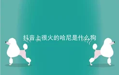 抖音上很火的哈尼是什么狗