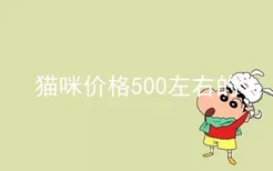 猫咪价格500左右的