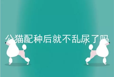 公猫配种后就不乱尿了吗