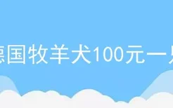 德国牧羊犬100元一只