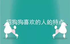 招狗狗喜欢的人的特点