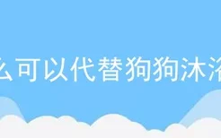 什么可以代替狗狗沐浴露