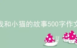 我和小猫的故事500字作文