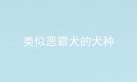 类似恶霸犬的犬种