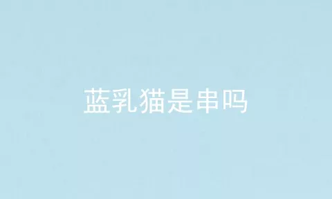 蓝乳猫是串吗