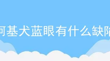 柯基犬蓝眼有什么缺陷