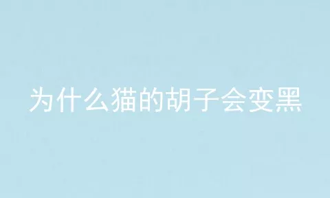 为什么猫的胡子会变黑