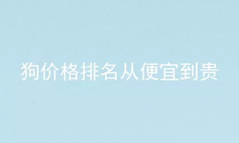 狗价格排名从便宜到贵