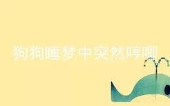 狗狗睡梦中突然哼唧