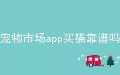 宠物市场app买猫靠谱吗