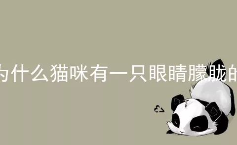 为什么猫咪有一只眼睛朦胧的