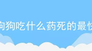 狗狗吃什么药死的最快