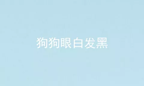 狗狗眼白发黑