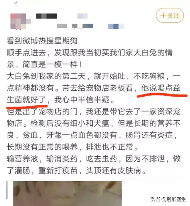 猫几天不拉屎会死吗(宠物猫几天不拉屎)