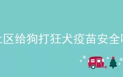 社区给狗打狂犬疫苗安全吗