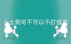 小土狗可不可以不打疫苗