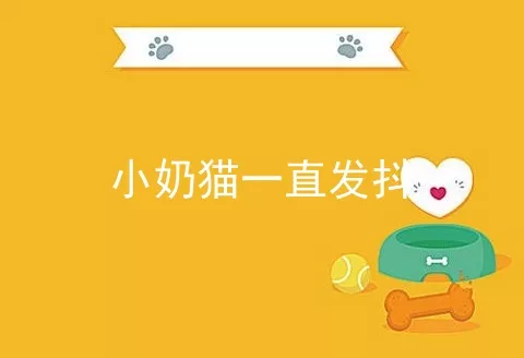 小奶猫一直发抖