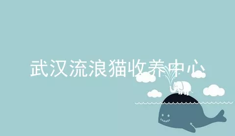 武汉流浪猫收养中心