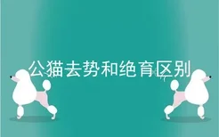 公猫去势和绝育区别