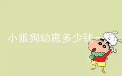 小狼狗幼崽多少钱一只