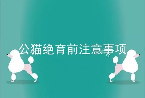 公猫绝育前注意事项