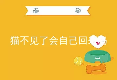 猫不见了会自己回来吗