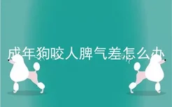 成年狗咬人脾气差怎么办