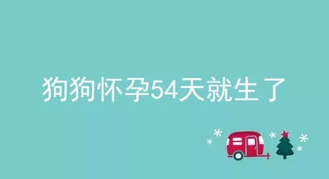 狗狗怀孕54天就生了