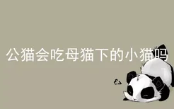 公猫会吃母猫下的小猫吗