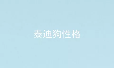 泰迪狗性格